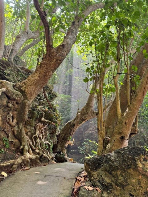 Bali : Nusa Penida Private Day Tour With Guide - Inclusions and Exclusions