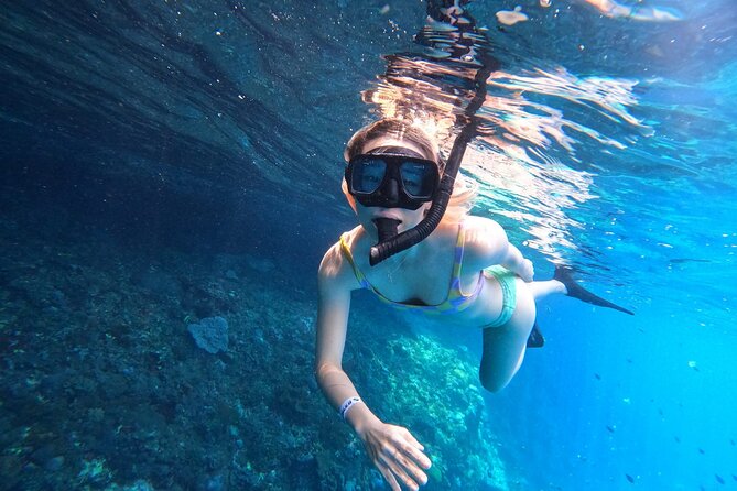 Bali Nusa Penida Private Tour All Inclusive - Return Hotel Transfers
