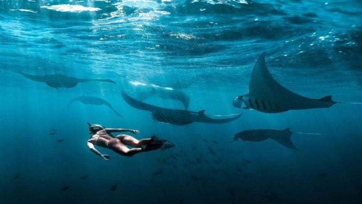Bali: Nusa Penida Snorkeling Adventure and Island Tour - Key Points