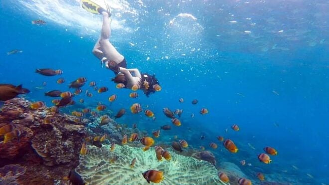 Bali: Nusa Penida Snorkeling Adventure and Island Tour - Important Information