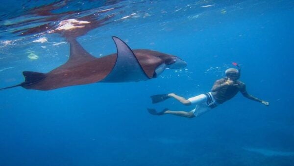 Bali: Nusa Penida Snorkeling Adventure and Island Tour - What to Expect