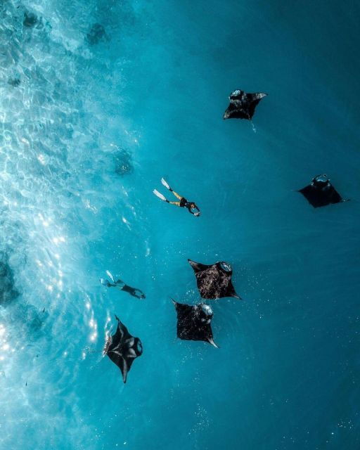 Bali Nusa Penida : Snorkeling and Land Tour All Inclusive - Snorkeling Experience Highlights