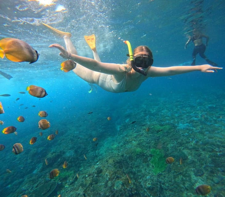 Bali: Nusa Penida Snorkeling and West Tour With Transfers - Itinerary Highlights