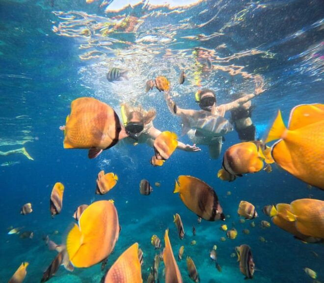 Bali: Nusa Penida Snorkeling and West Tour With Transfers - Transportation Details