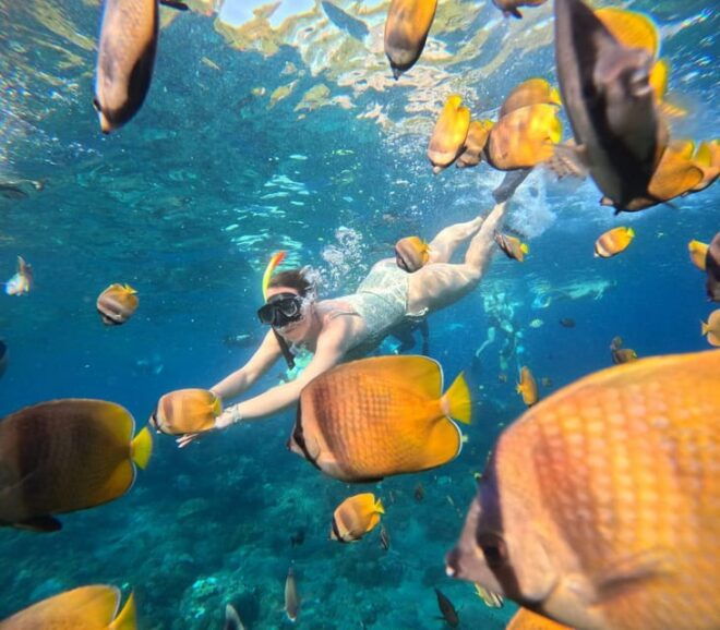 Bali: Nusa Penida Snorkeling and West Tour With Transfers - Booking Information