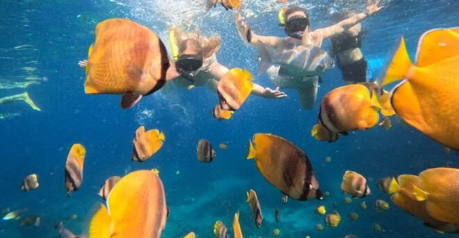 Bali: Nusa Penida Snorkeling and West Tour With Transfers - Questions You May Have