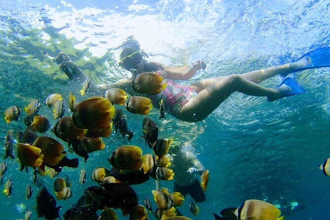 Bali Nusa Penida Snorkeling Tour West - The Practicalities