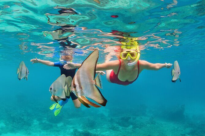 Bali Nusa Penida Snorkeling Tour West - FAQ