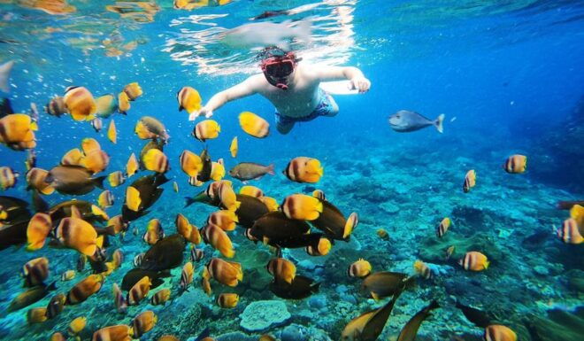Bali: Nusa Penida Snorkeling Tour With Hotel Transfers - Inclusions and Equipment