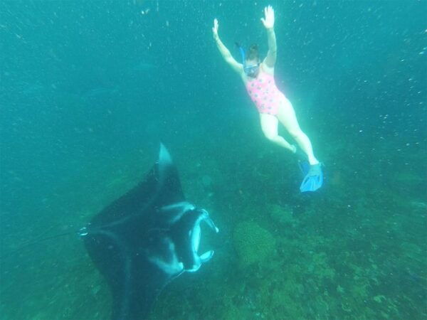 Bali: Nusa Penida Snorkeling Tour With Hotel Transfers - Booking and Cancellation Policies