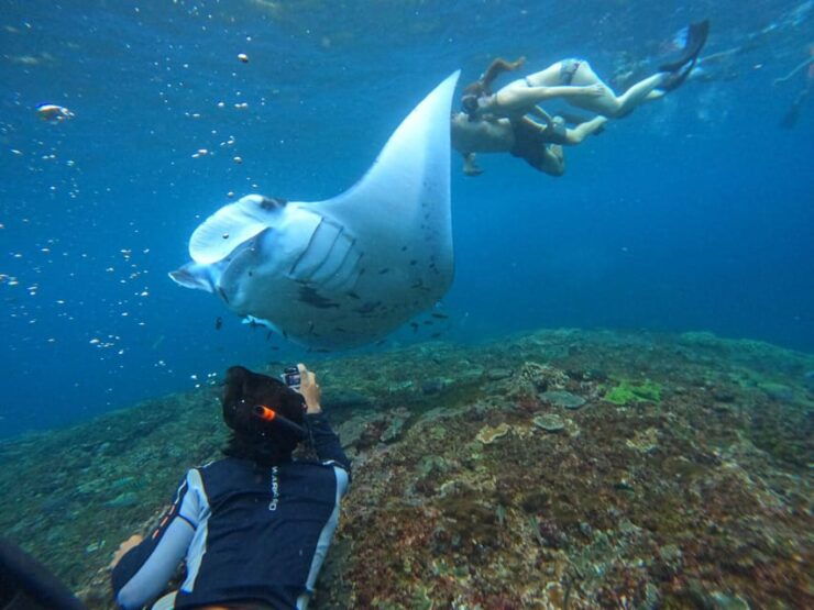 Bali: Nusa Penida Tour With Lunch & Manta Point Snorkeling - Itinerary Highlights