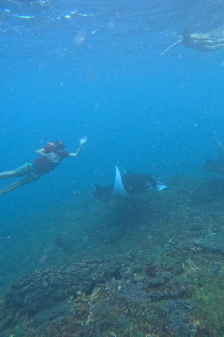 Bali: Nusa Penida Tour With Lunch & Manta Point Snorkeling - Sightseeing Attractions