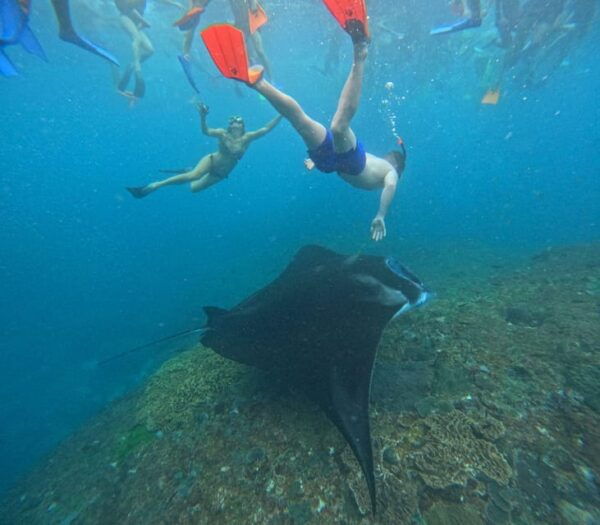 Bali: Nusa Penida Tour With Lunch & Manta Point Snorkeling - Questions You May Have