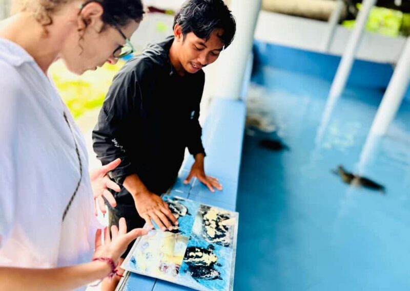 Bali: Nusa Penida: Turtle Conservation, Massive Cave Temple - What Travelers Say  