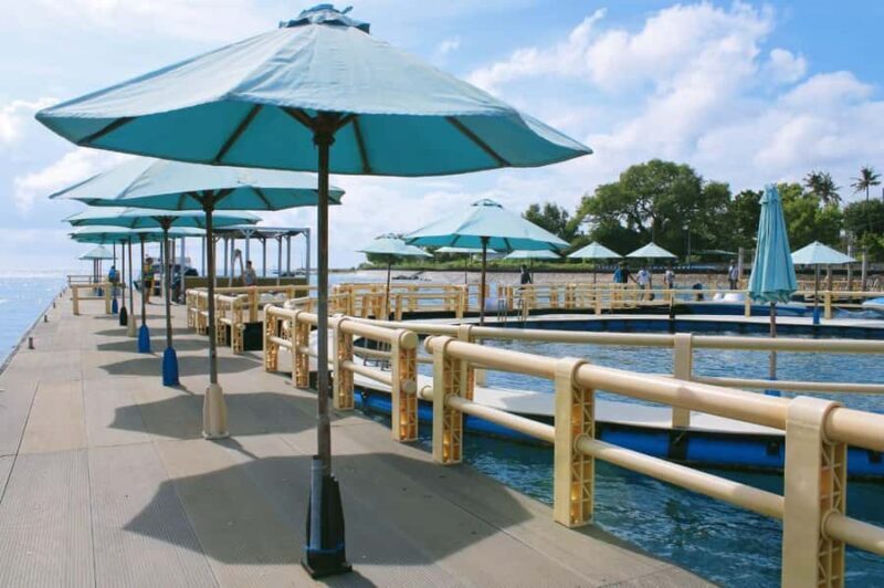 Bali: Nusa Penida West Coast Tour with Snorkeling & Kayaking - Final Thoughts