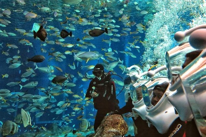 Bali Ocean Walker - Booking Information