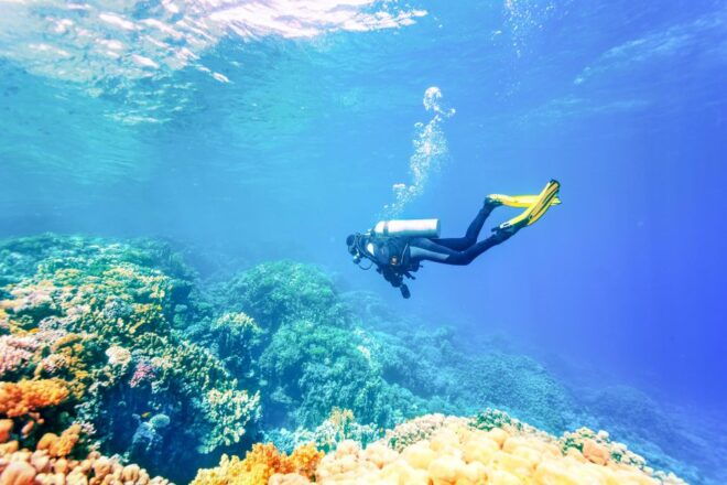Bali: Padangbai Blue Lagoon Beginners Dive Experience - The Sum Up