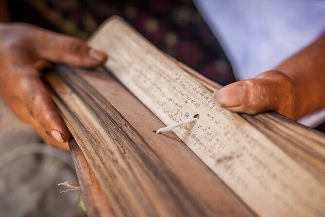 Bali Palm Reading with Jatiluwih Rice Terrace Walking Tour - Good To Know