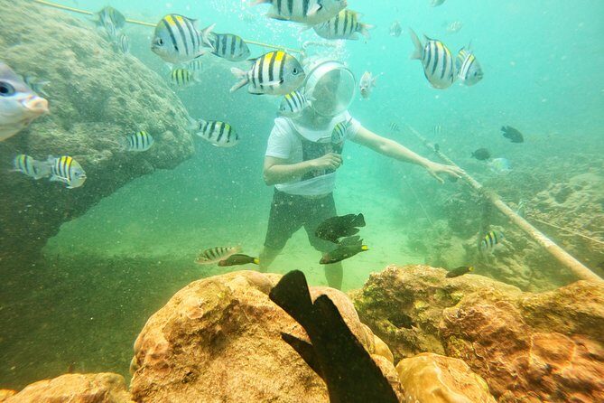 Bali Parasailing Adventure - What to Expect from the Bali Parasailing Adventure