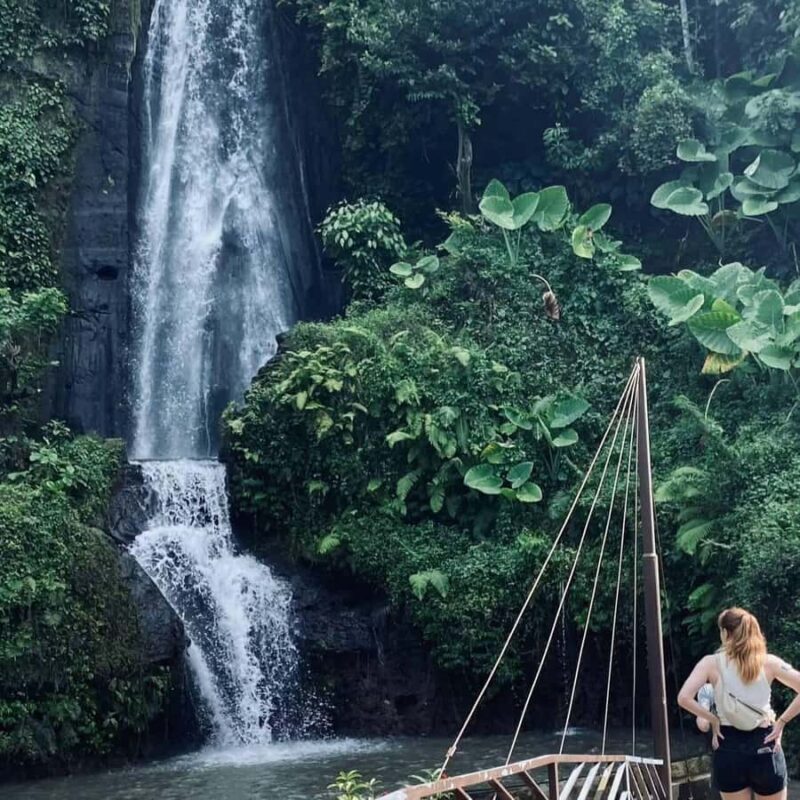 Bali: Penglipuran Temple, Waterfalls and bamboo village Tour - Exploring Bali’s Authentic Charm: Penglipuran Temple, Waterfalls, and Bamboo Village Tour