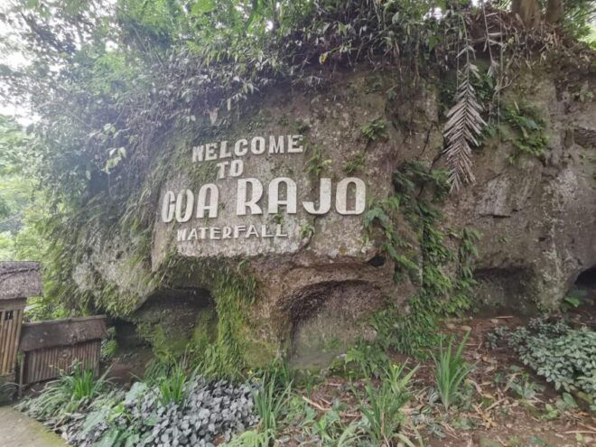 Bali: Penglipuran Village, Besakih Temple & Hidden Waterfall - Inclusions in the Tour Package