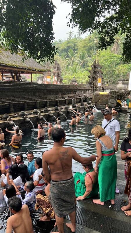 Bali: Penglipuran Village, Tirta Empul & Ubud All Incusive - Price and Value Analysis