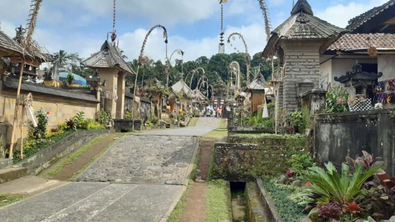 Bali: Penglipuran Village, Waterfall, and Night Market Tour - An In-Depth Look at the Tour