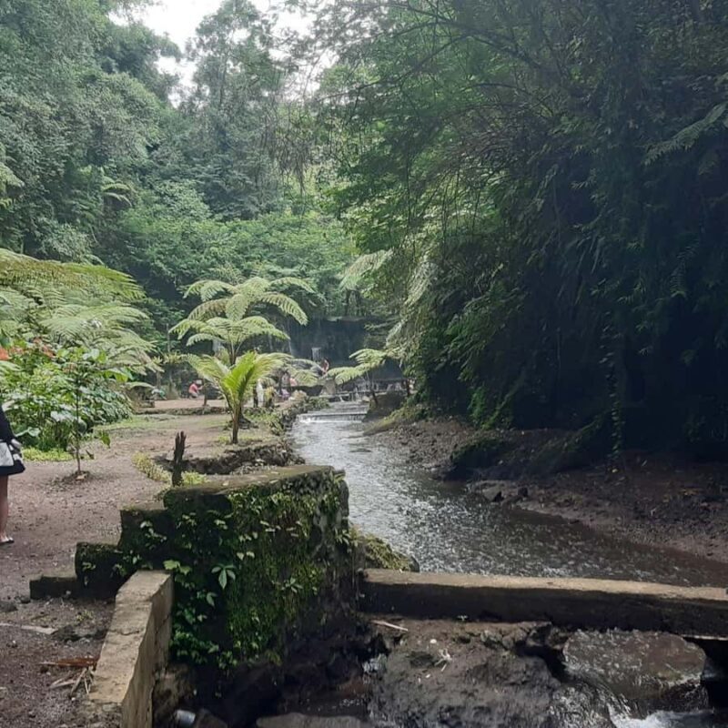 Bali: Penglipuran Village, Waterfall, and Night Market Tour - Final Thoughts