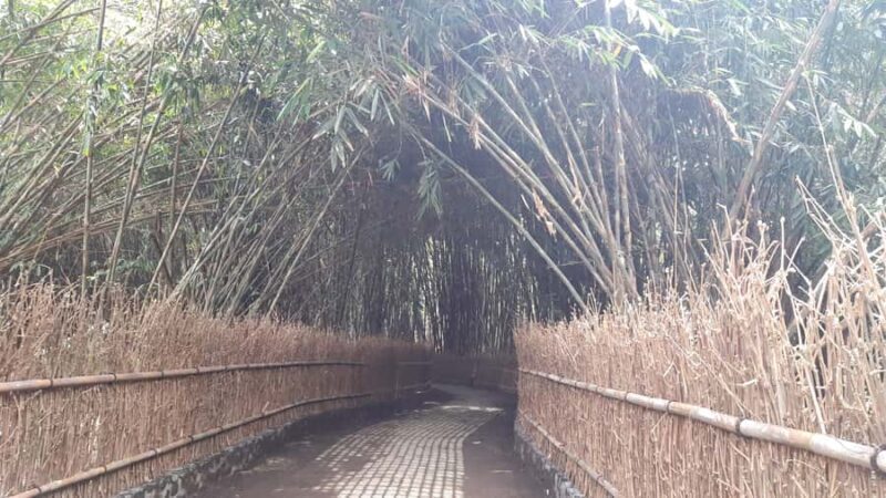 Bali: Penglipuran Village, Waterfall, and Night Market Tour - Strolling Through the Bamboo Forest