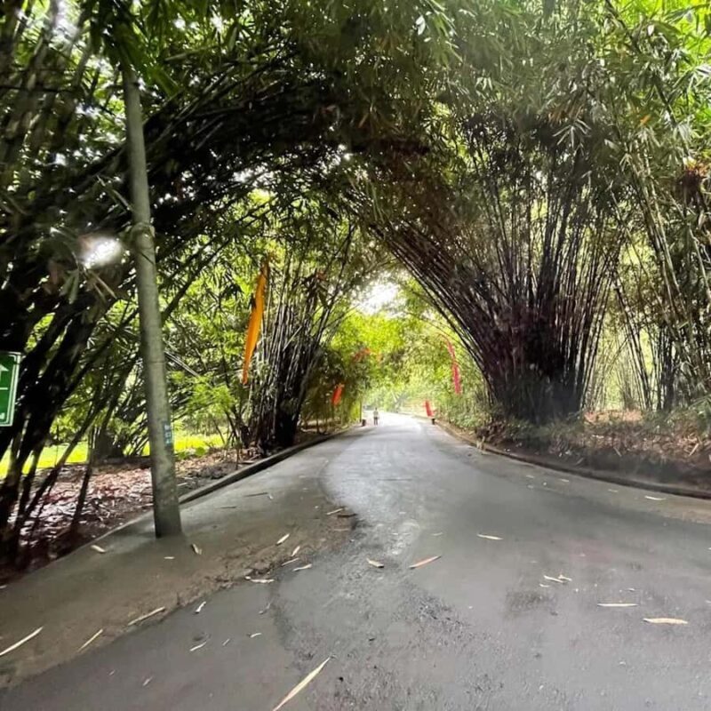 Bali: Penglipuran Village, Waterfall, and Night Market Tour - Goa Raja Waterfall: A Natural Marvel