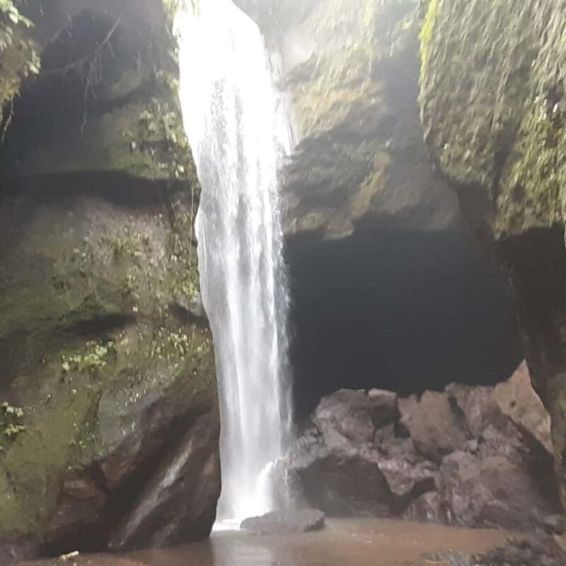 Bali: Penglipuran Village, Waterfall, and Night Market Tour - FAQ