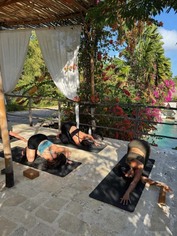 Bali: Personalized Yoga and/or Life Coaching Session - A Deep Dive into the Experience