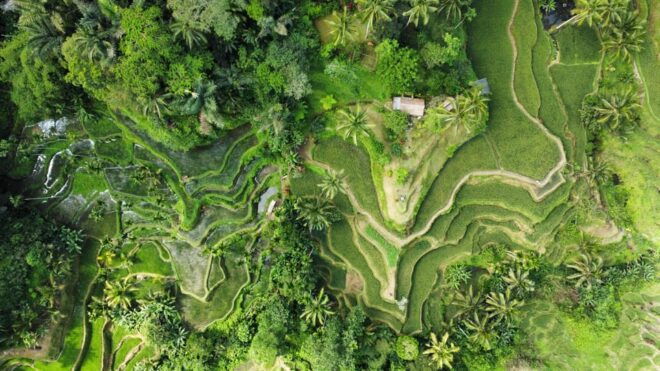 Bali: Photo and Videoshoot, Customized Private Tour, - Popular Tour Destinations