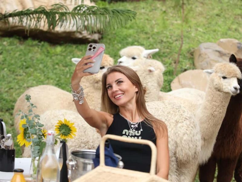 Bali: Picnic with Alpacas/Donkeys and Temple Tour - The Practicalities and What You Should Know