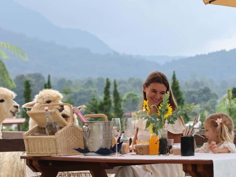 Bali: Picnic with Alpacas/Donkeys and Temple Tour - Who is This Tour Best For?