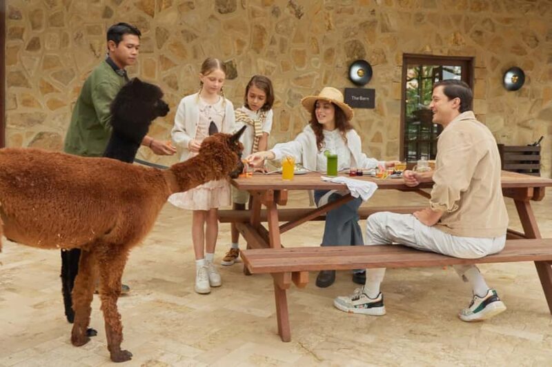 Bali: Picnic with Alpacas/Donkeys and Temple Tour - The Value and Cost