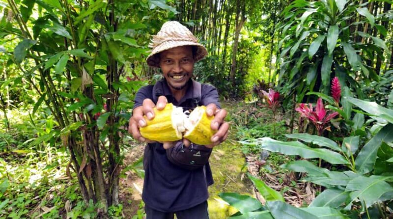 Bali: Pinge Village Tour: School Visit, Cooking Class, Lunch - Good To Know