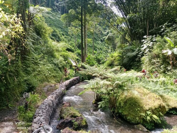 Bali: Pinggan Sunrise Jeep Tour & Coffee Plantation Visit - Good To Know