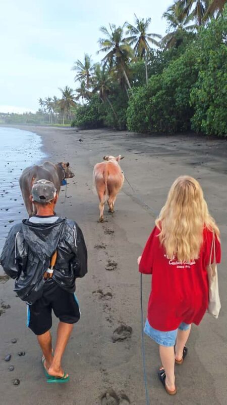 Bali: Pink Buffalo Adventure with Culinary Experience - Who Will Love This Experience?