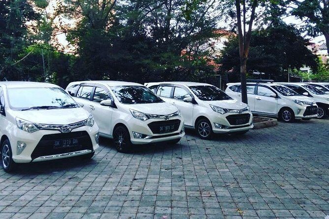 Bali Private Airport Transfer With Best Bali Driver - Who Should Book This Service?