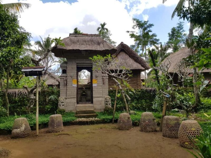 Bali: Private Balinese Home, Temple, and Waterfall Tour - Good To Know  