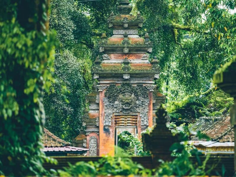 Bali: Private Balinese Home, Temple, and Waterfall Tour - The Ulupetanu Waterfall Experience