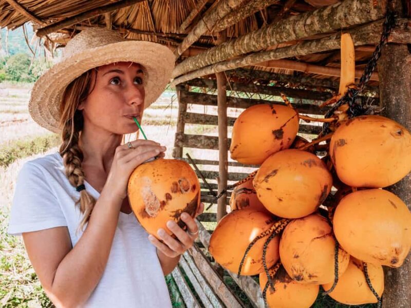 Bali: Private Balinese Home, Temple, and Waterfall Tour - Good To Know