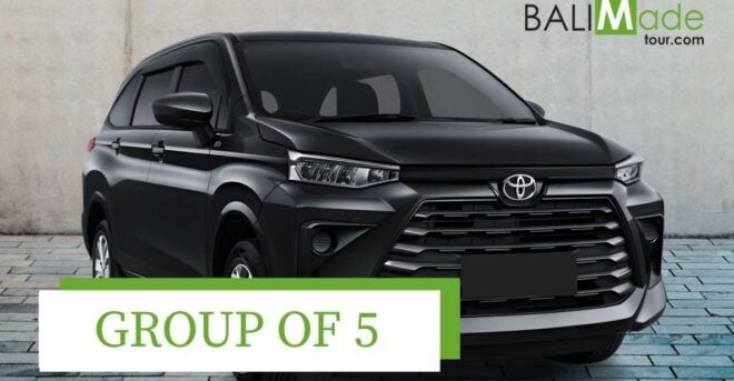 Bali Private Car Charter - Additional Services Provided