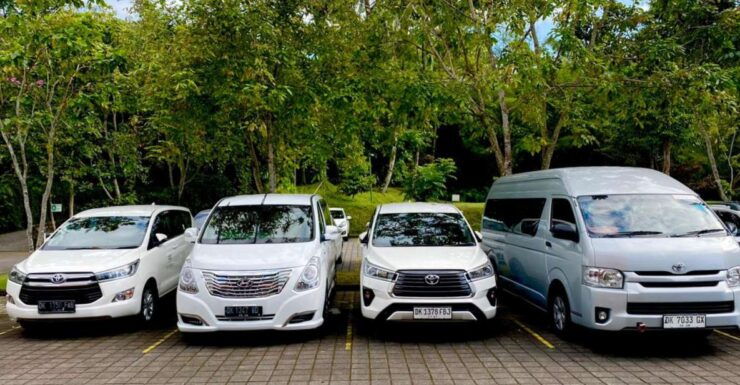 Bali: Private Car Charter With Driver - Customer Reviews