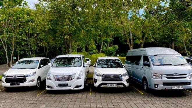 Bali: Private Car Charter With Driver - Activity Specifics