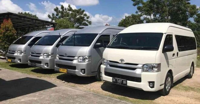 Bali Private Car Charter With English-Speaking Driver - Benefits