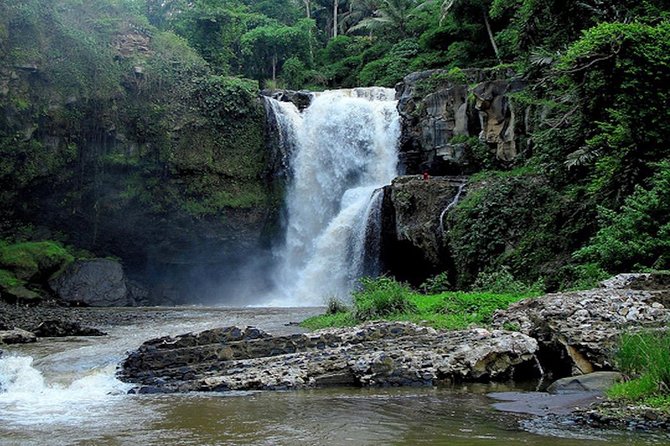 Bali Private Car Charter With English Speaking Driver - Limited Public Transport Options