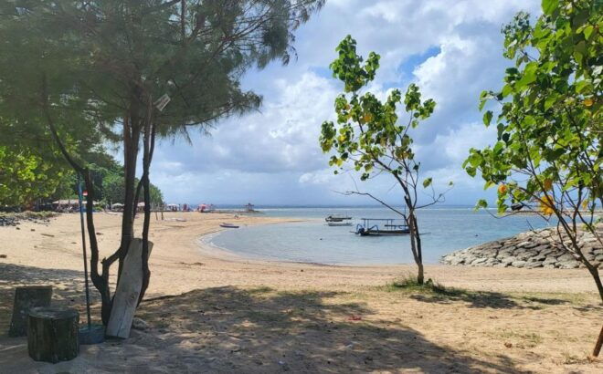 Bali: Private Car Charter With Professional Driver - Highlights