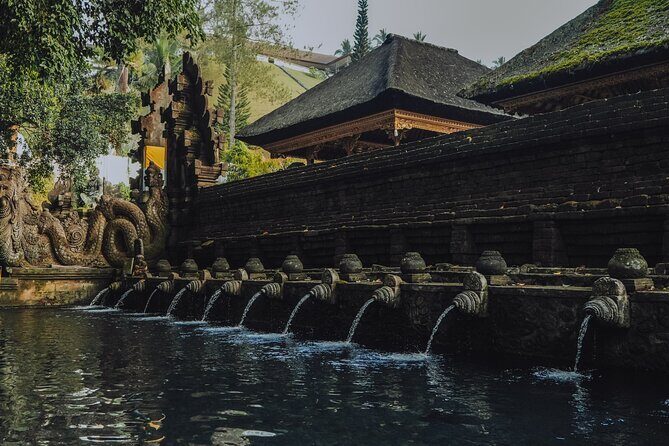 Bali Private Car Full Day Customized Tour With Drone Service - An In-Depth Look at the Tour Experience